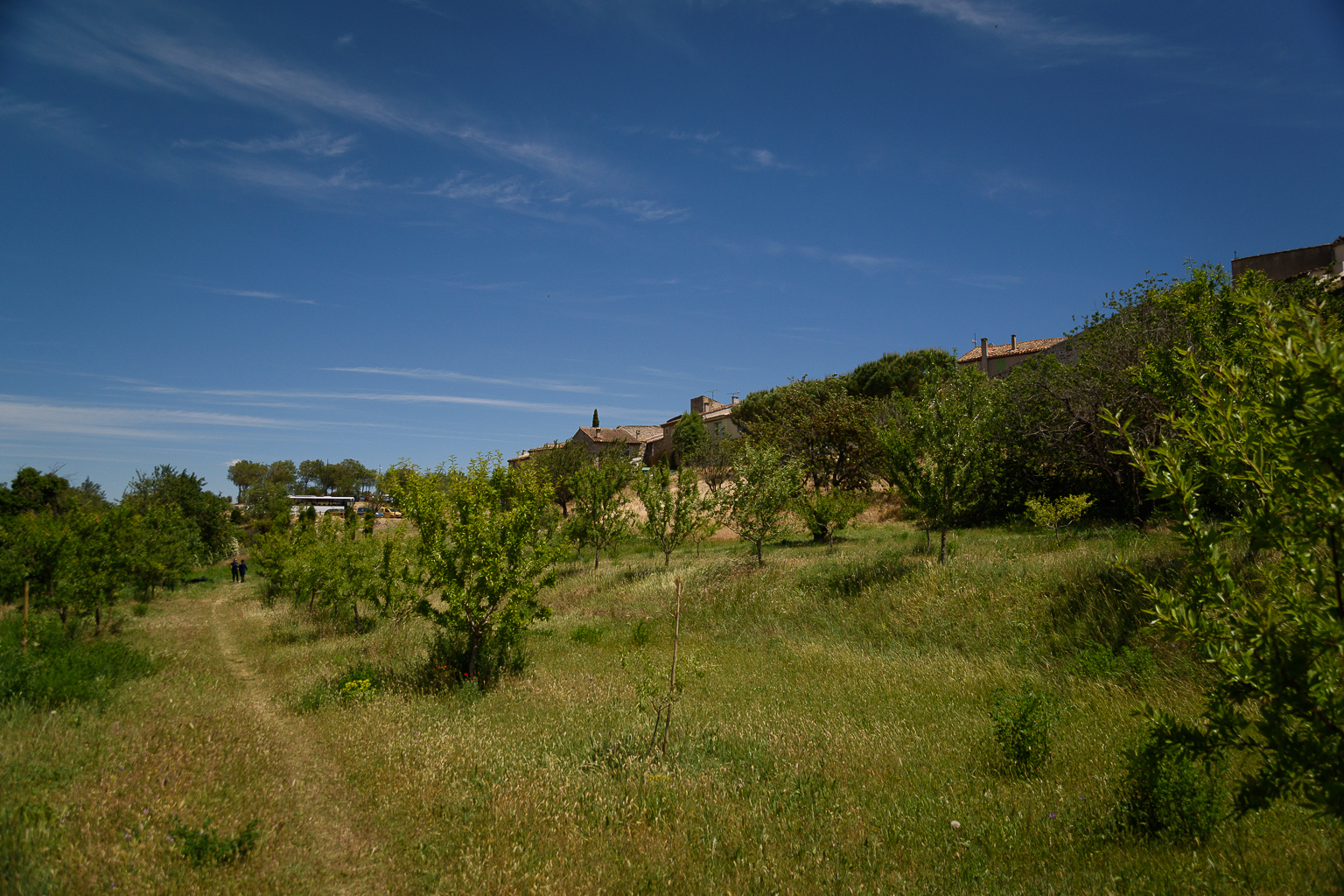 Olivier Luthringer Photographe Provence Mariage