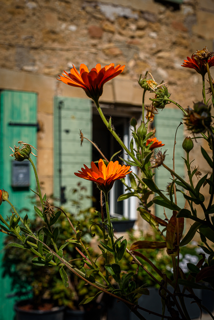 Olivier Luthringer Photographe Provence Mariage
