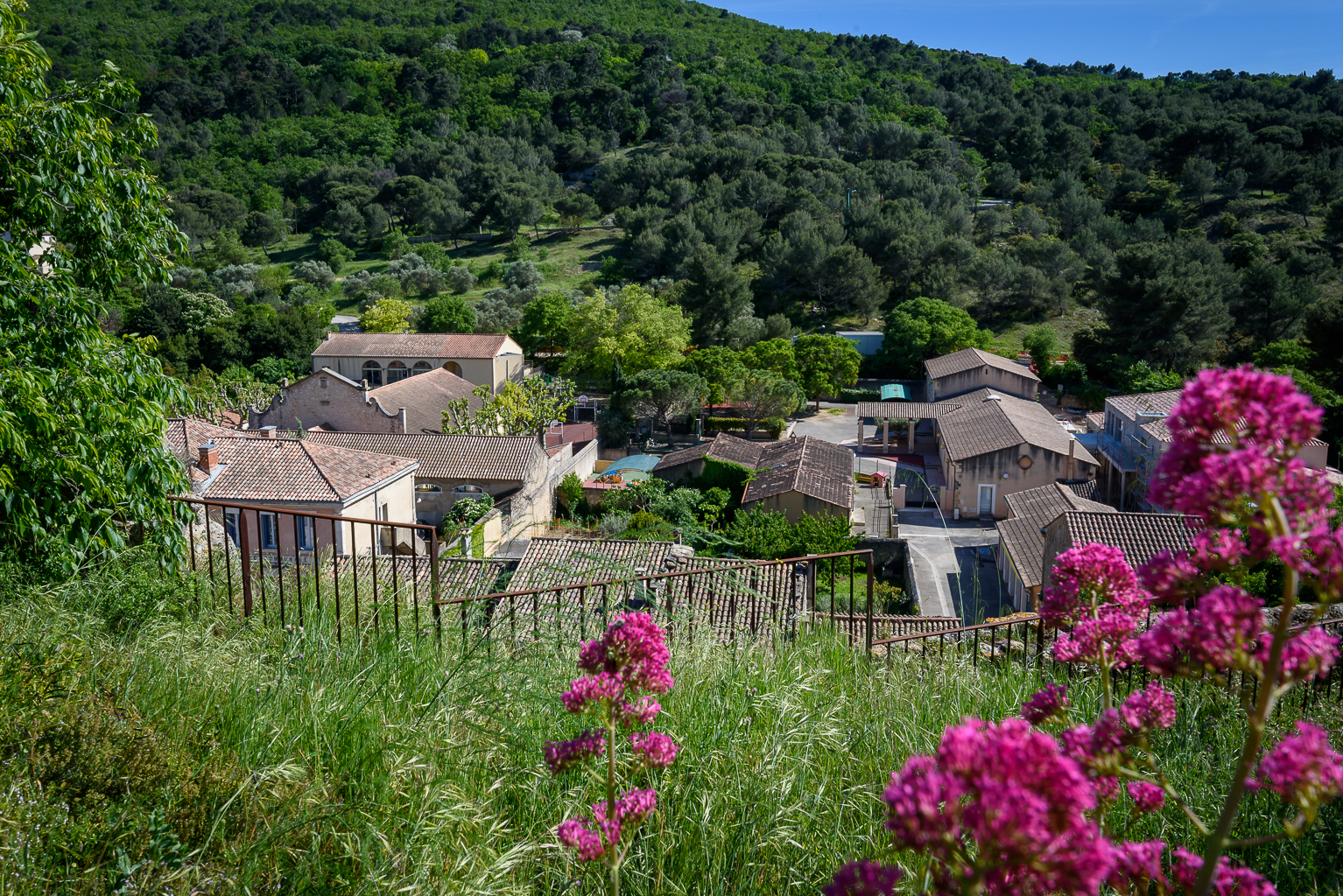 Olivier Luthringer Photographe Provence ALLEINS